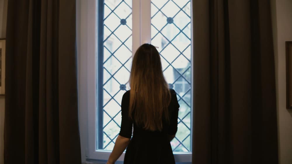 contemporary windows